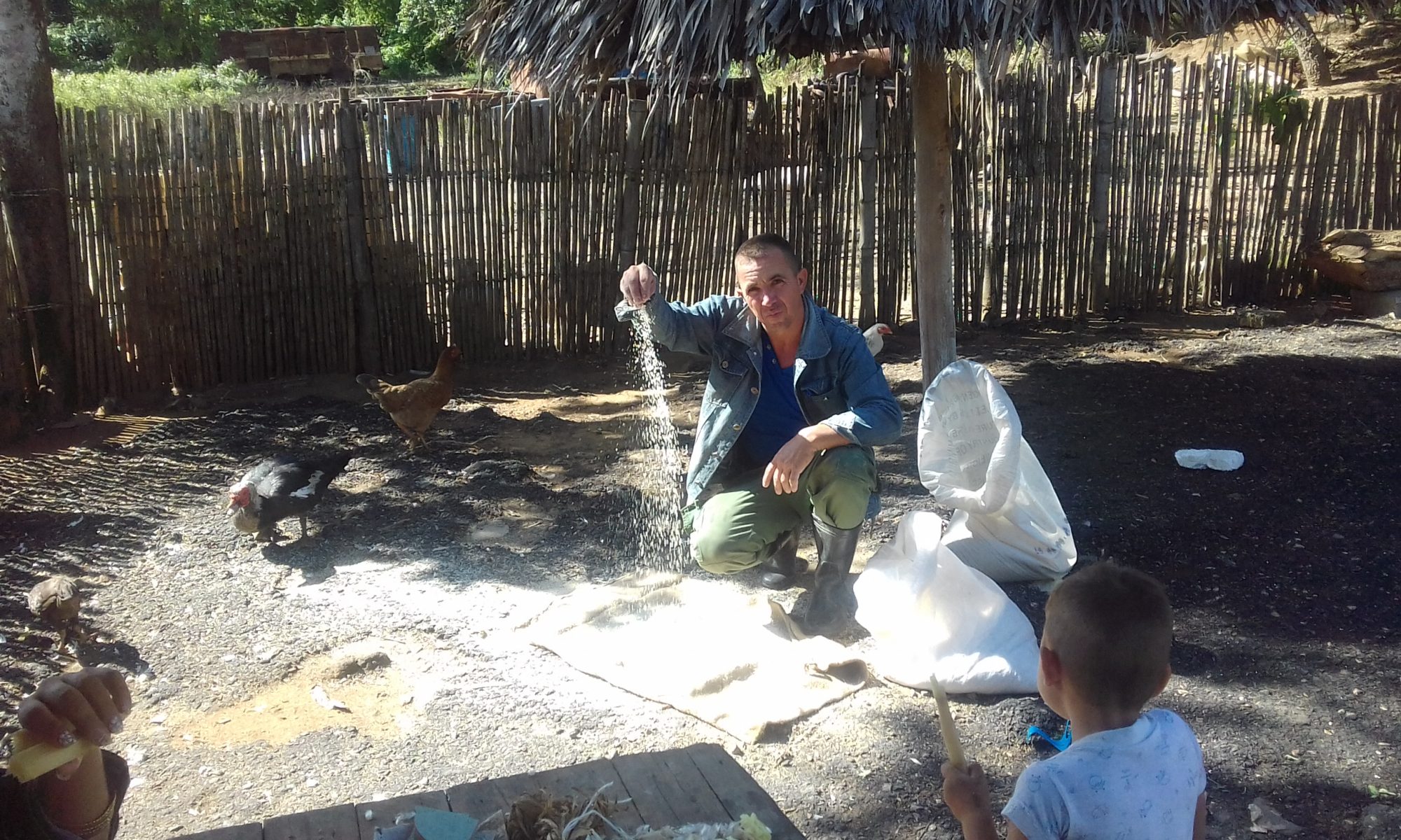 Cuban Jobs The Only Underground Cuba Travel Guide